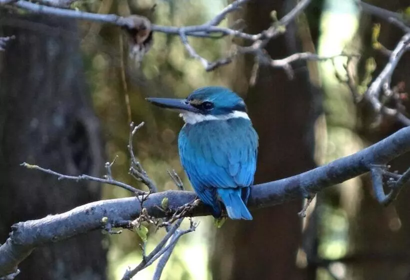 ベッドアンドブレックファースト Chandlers Rest