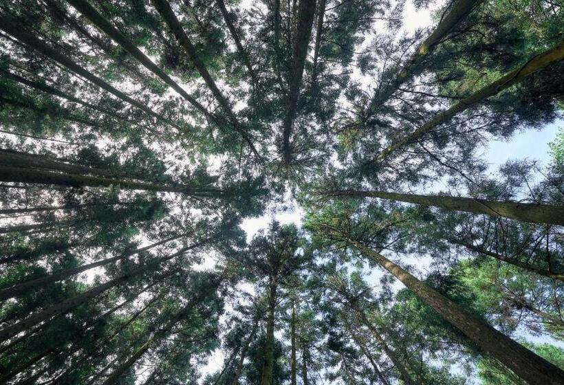 فندق 自然人村