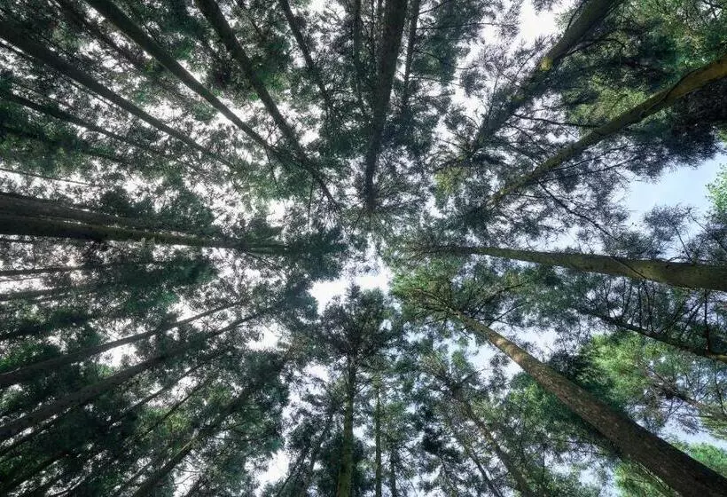 Hotelli 自然人村