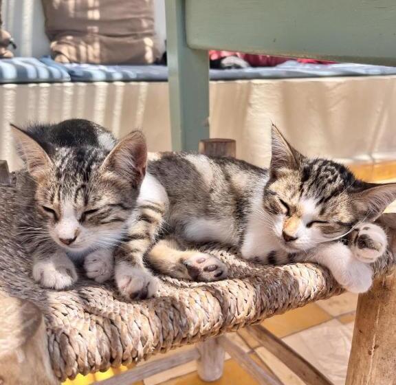 호텔 Dar Afoulky Maison D Hotes