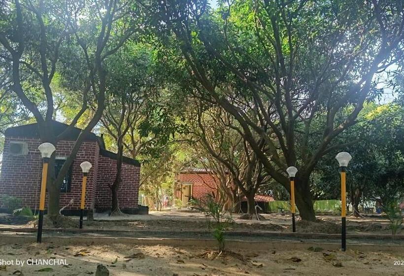 בית מלון כפרי Modhubon Agro Tourism