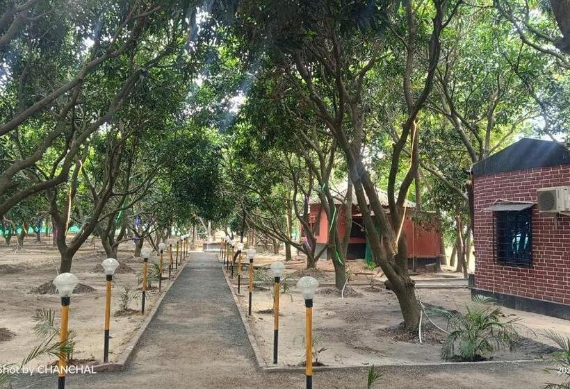 בית מלון כפרי Modhubon Agro Tourism