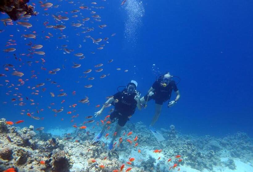 هتل Sharks Bay Oasis Soft Only & Amp Aqua Park And Diving