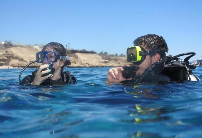 هتل Sharks Bay Oasis Soft Only & Amp Aqua Park And Diving