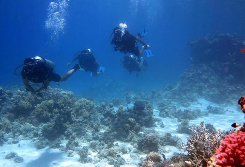 هتل Sharks Bay Oasis Soft Only & Amp Aqua Park And Diving