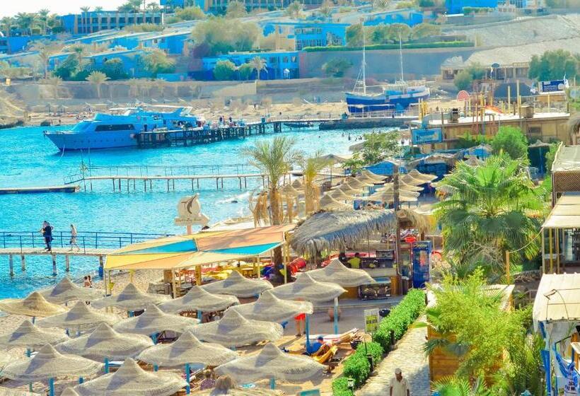 هتل Sharks Bay Oasis Soft Only & Amp Aqua Park And Diving