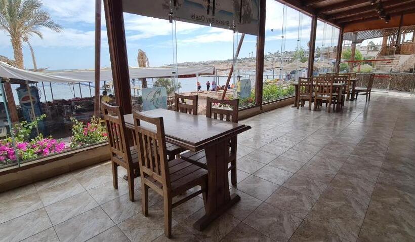 هتل Sharks Bay Oasis Soft Only & Amp Aqua Park And Diving