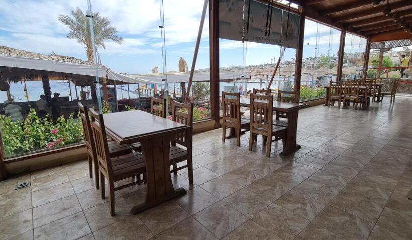 هتل Sharks Bay Oasis Soft Only & Amp Aqua Park And Diving