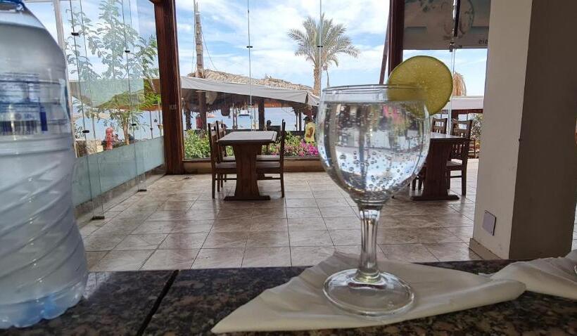 هتل Sharks Bay Oasis Soft Only & Amp Aqua Park And Diving