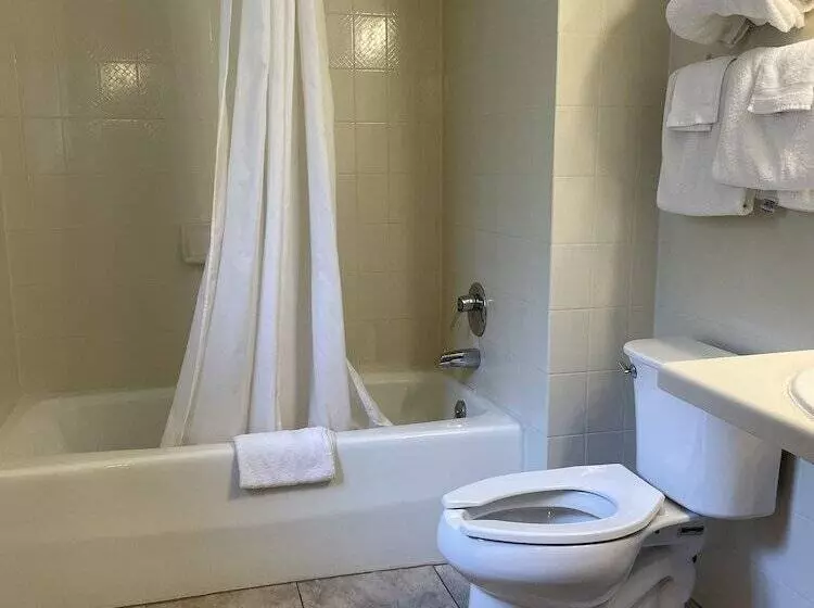 ホテル Amber S Inn & Suites