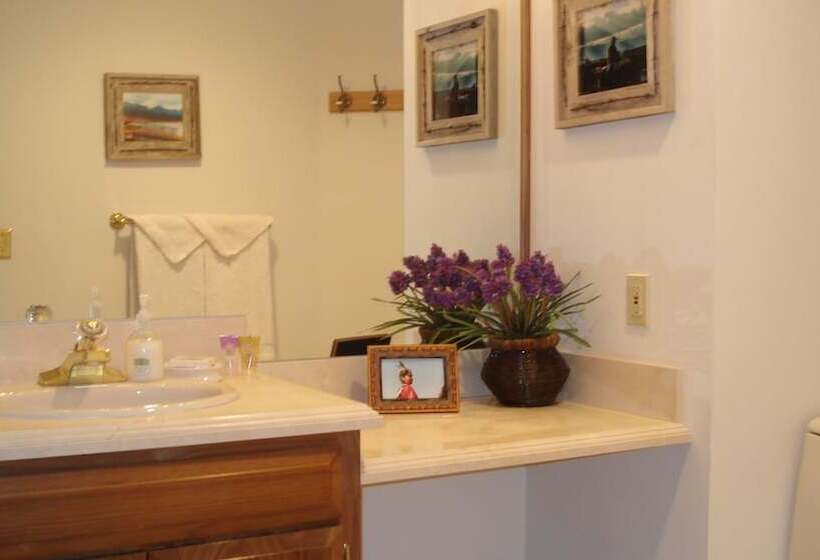 酒店 Bar W Guest Ranch