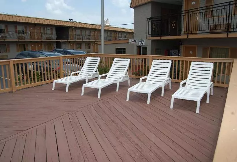 ホテル Executive Inn And Suites Springdale