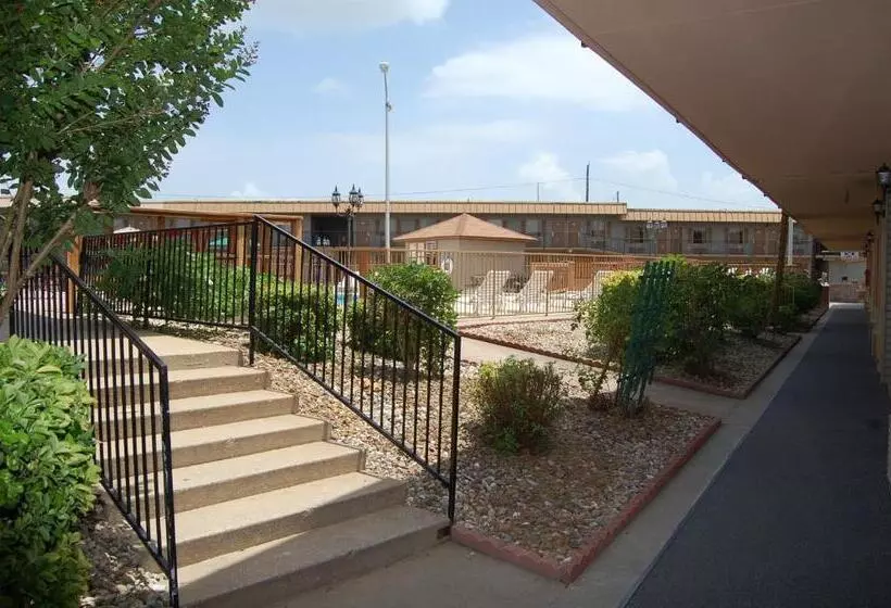 ホテル Executive Inn And Suites Springdale