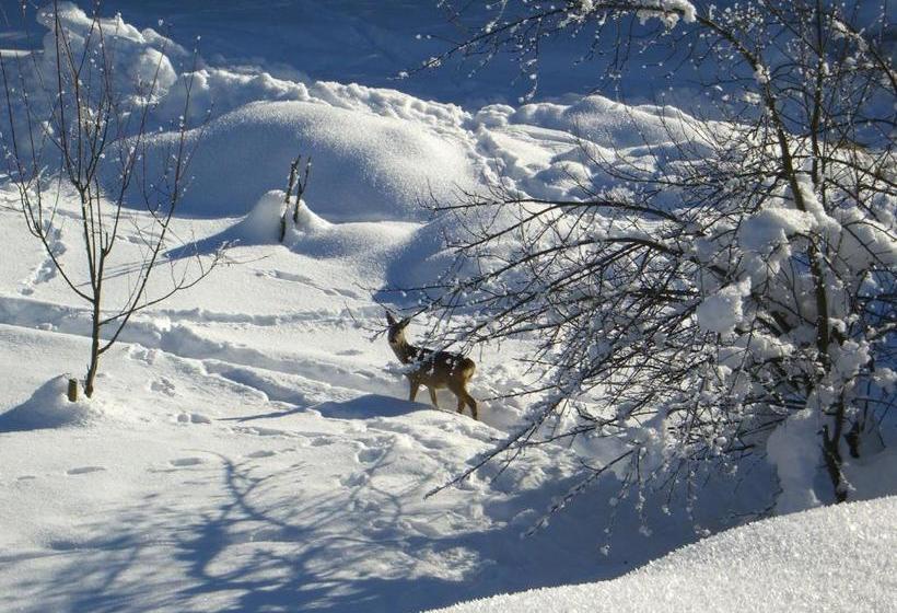 ホテル Haus Koenighofer