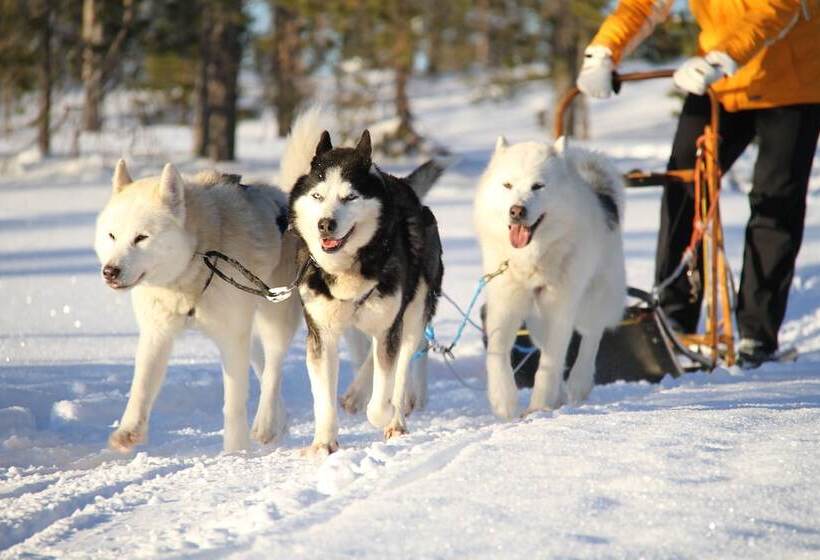 酒店 Pernilla Wiberg