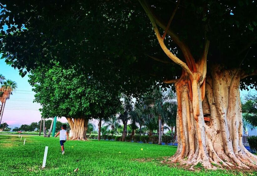 Отель Rooms At The Pecan