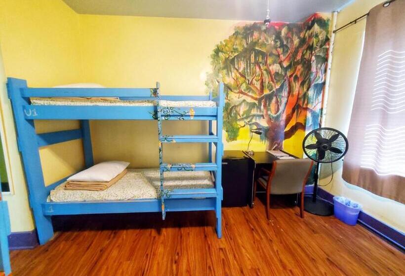 בית מלון כפרי The Pirate Haus Inn