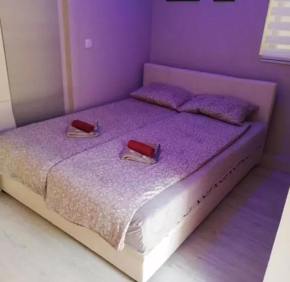 تختخواب و صبحانه Blue Carpet Rooms