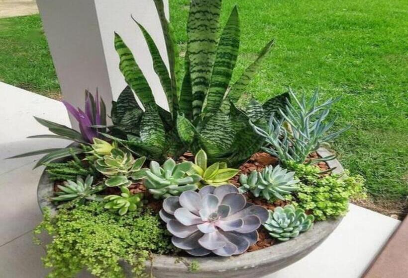 住宿加早餐  Bread And Breakfast 430