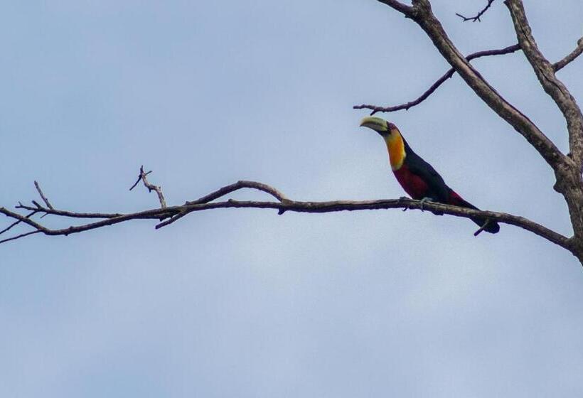 Bed and Breakfast Villa Bem Querer   Camomila