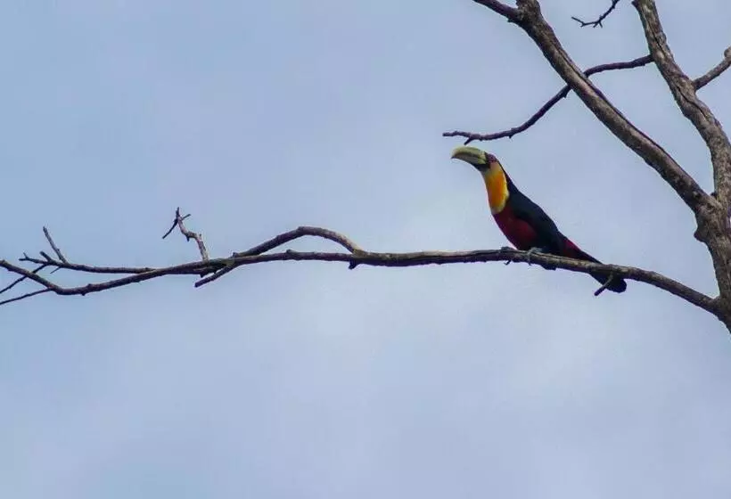 Aamiaismajoitus (B&B) Villa Bem Querer   Camomila