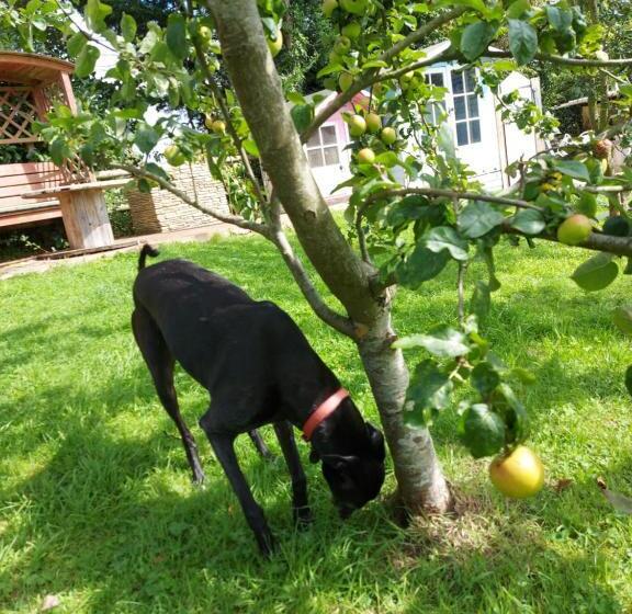 膳宿费 Hot Tub Hideaway