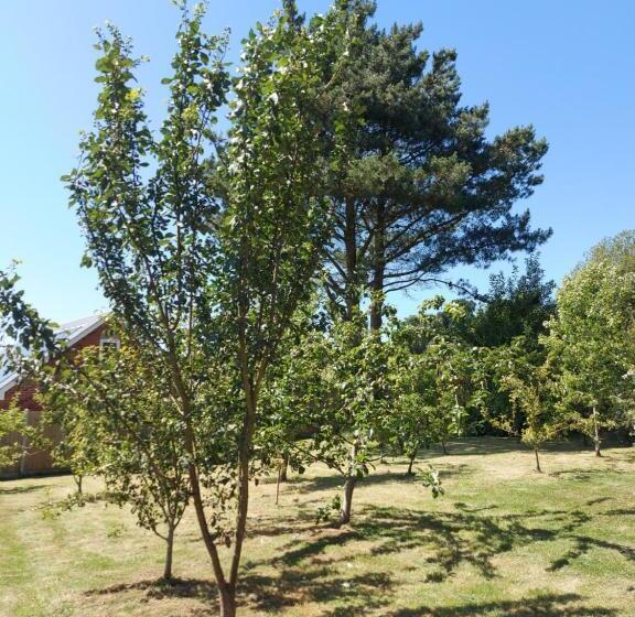 膳宿费 Hot Tub Hideaway