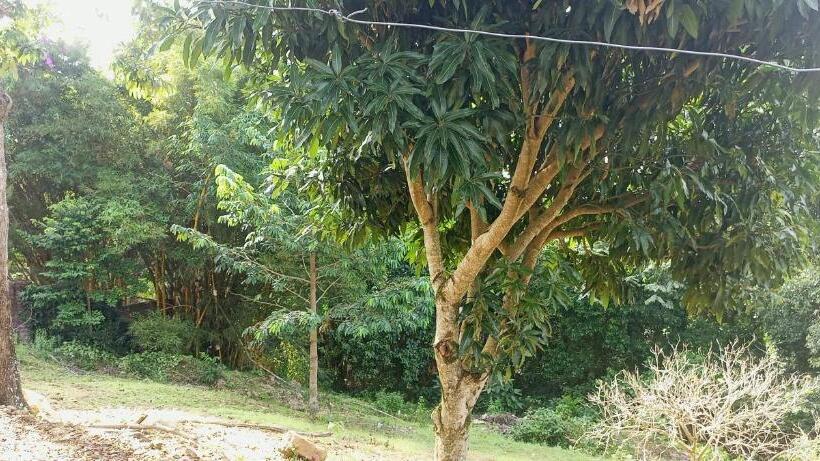 پانسیون Julian S Lake View Guest House