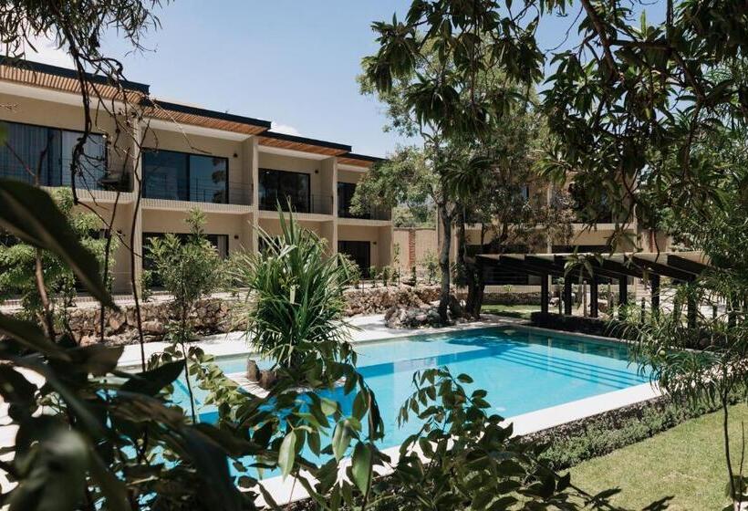 渡假胜地  Piedraviva Tepoztlán