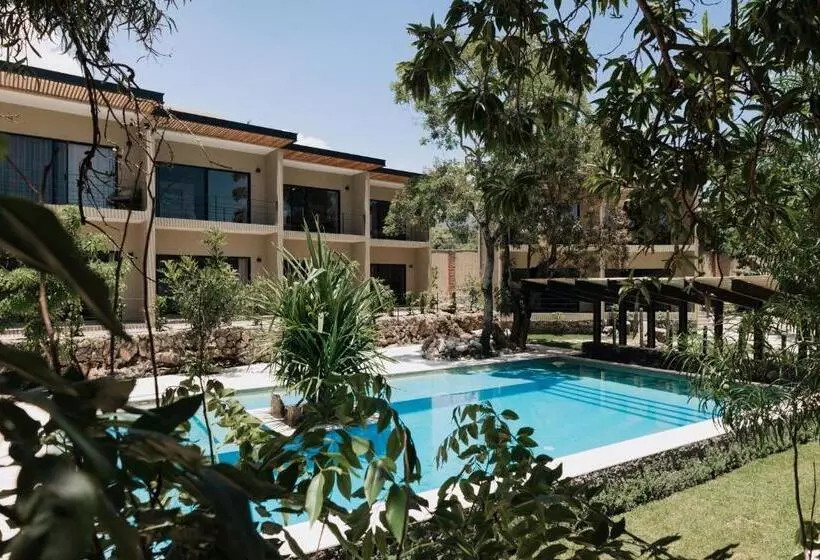 リゾートホテル Piedraviva Tepoztlán