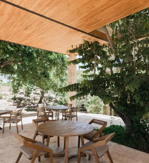 渡假胜地  Piedraviva Tepoztlán