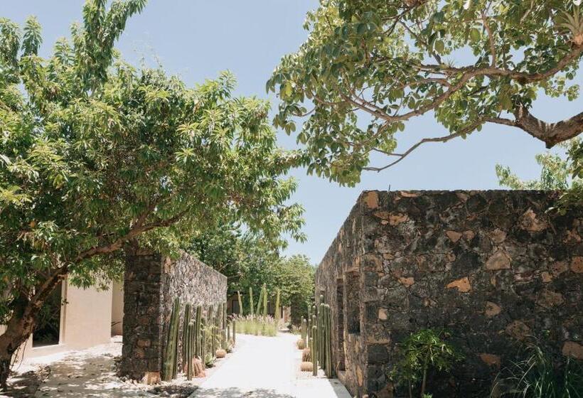 渡假胜地  Piedraviva Tepoztlán