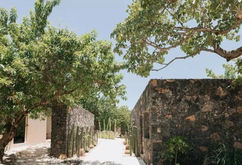 リゾートホテル Piedraviva Tepoztlán