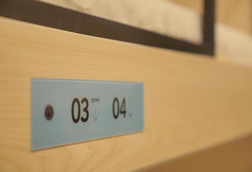 Swan S Journey International Youth Hostel Changsha Wuyi Square Ifs Ifc