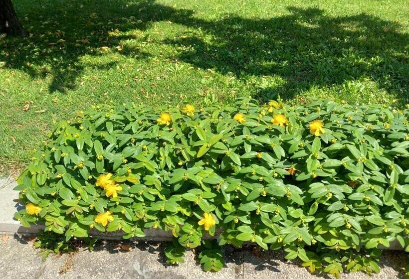 צימר Al Sit Ed Marino