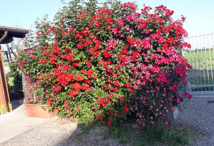 צימר Al Sit Ed Marino