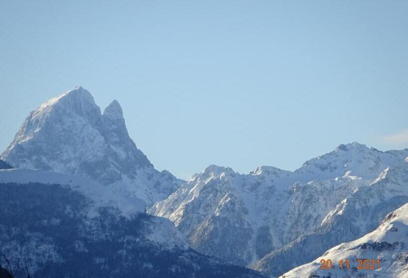 ベッドアンドブレックファースト Jardin Des Chats