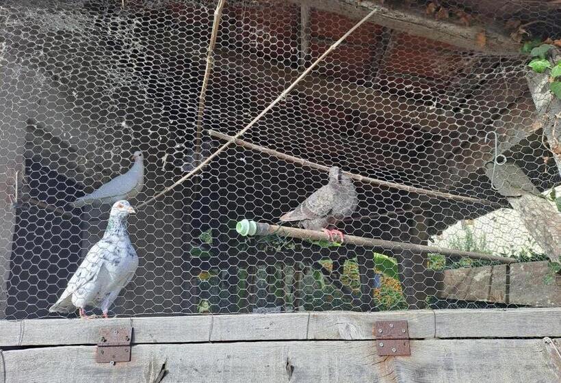 Bed and Breakfast La Garenne