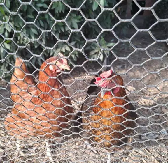 ベッドアンドブレックファースト La Garenne