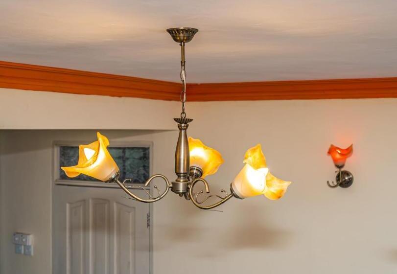 تختخواب و صبحانه The Amass Drive Homes, Airbnb