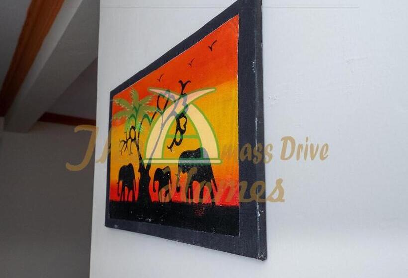 تختخواب و صبحانه The Amass Drive Homes, Airbnb