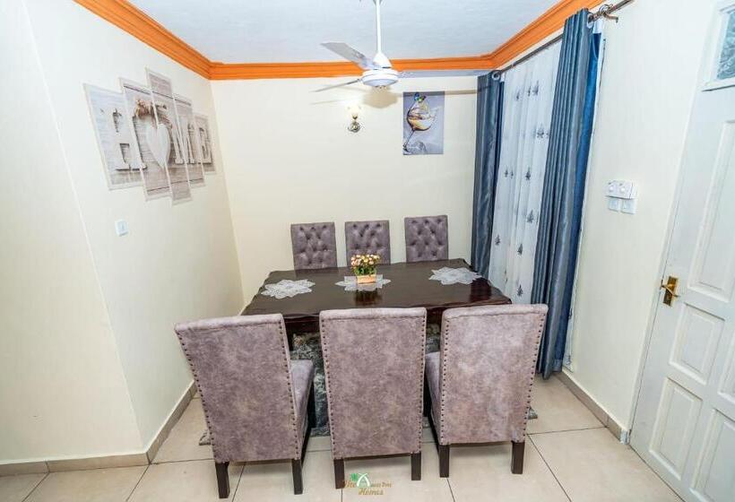 تختخواب و صبحانه The Amass Drive Homes, Airbnb