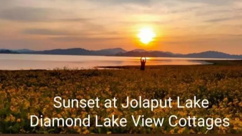 ホテル Diamond Lake View Cottages