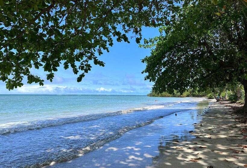 酒店 Pousada Tatiba