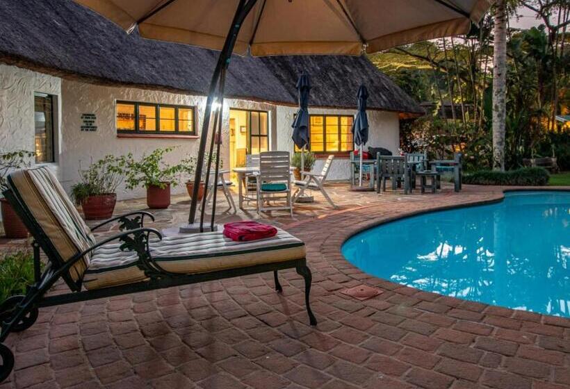 Inn Afrika Bed And Breakfast