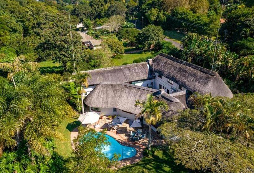 Inn Afrika Bed And Breakfast