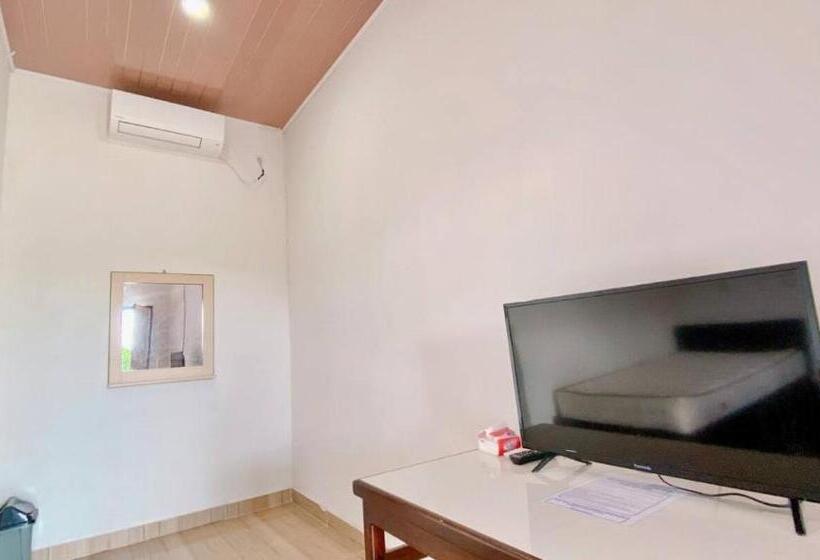 بنسيون Amadeo Guest House