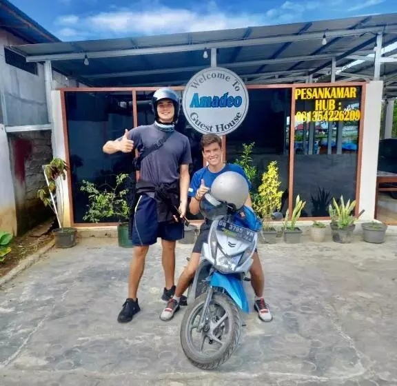 Majatalo Amadeo Guest House