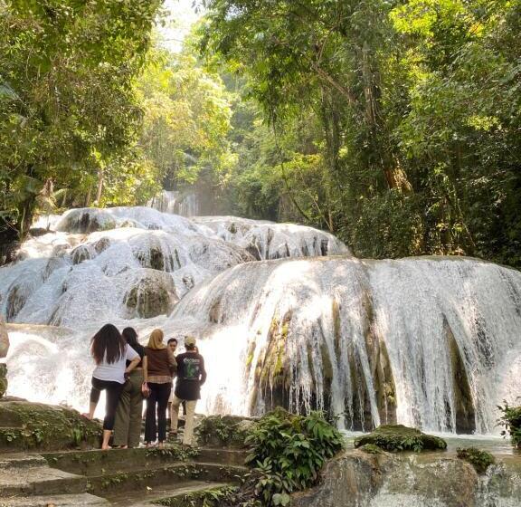 بنسيون Amadeo Guest House
