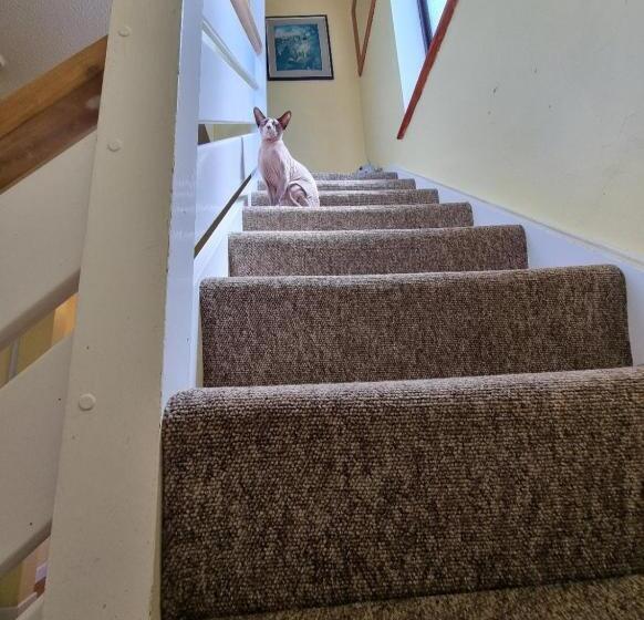 膳宿费 Guest House